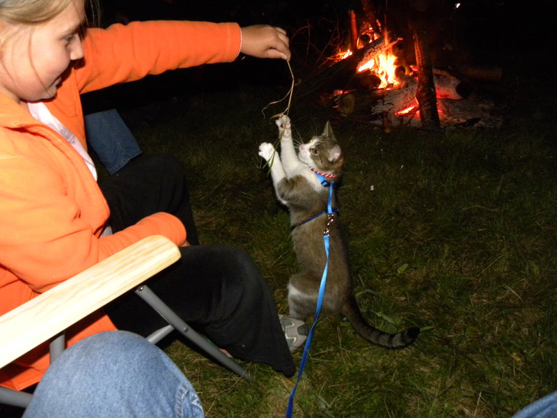 DSCN2953.JPG