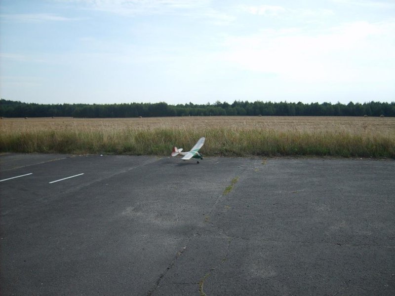 S5000190.JPG