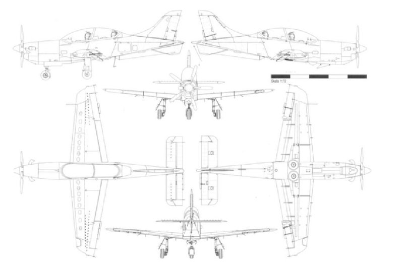 ORLIK T1.JPG