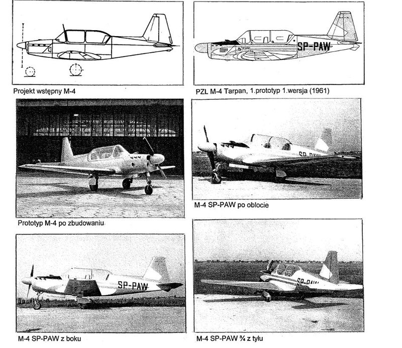 Tarpan 1.JPG