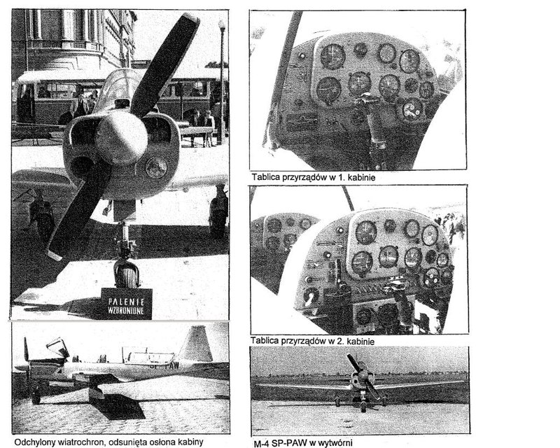 Tarpan 2.JPG
