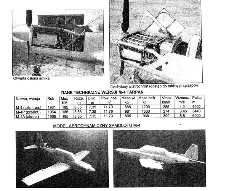 Tarpan 4.JPG