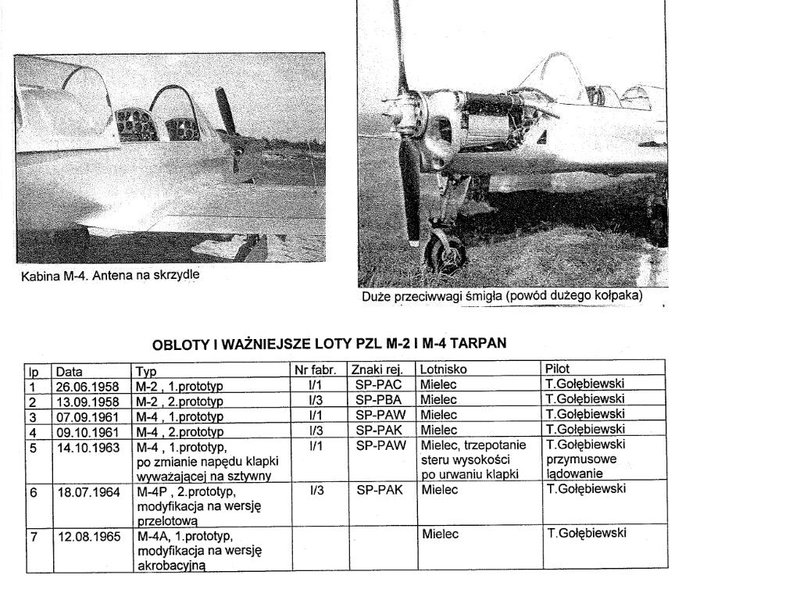 Tarpan 3.JPG