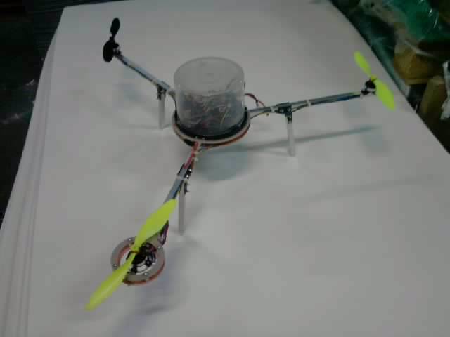 Resize_P121013_09.35.jpg