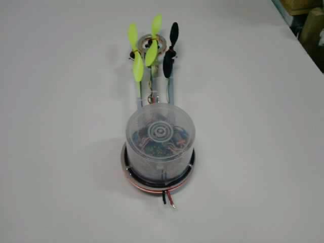 Resize_P121013_09.42.jpg