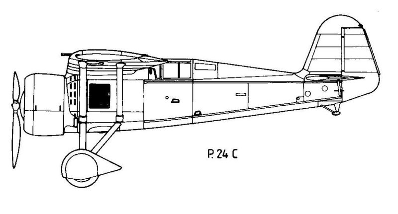 PZL.JPG