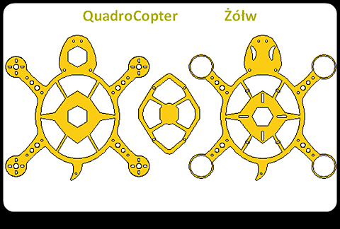 żółw.png