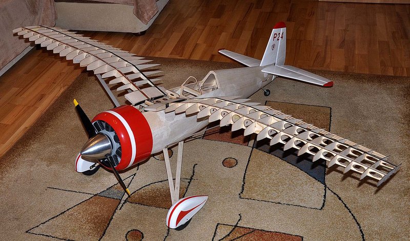 PZL24_02m.jpg