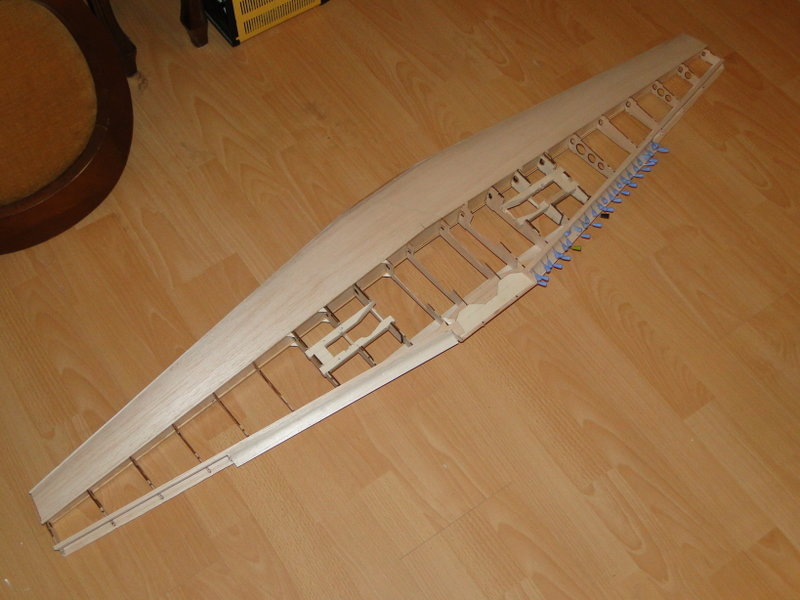 80.JPG