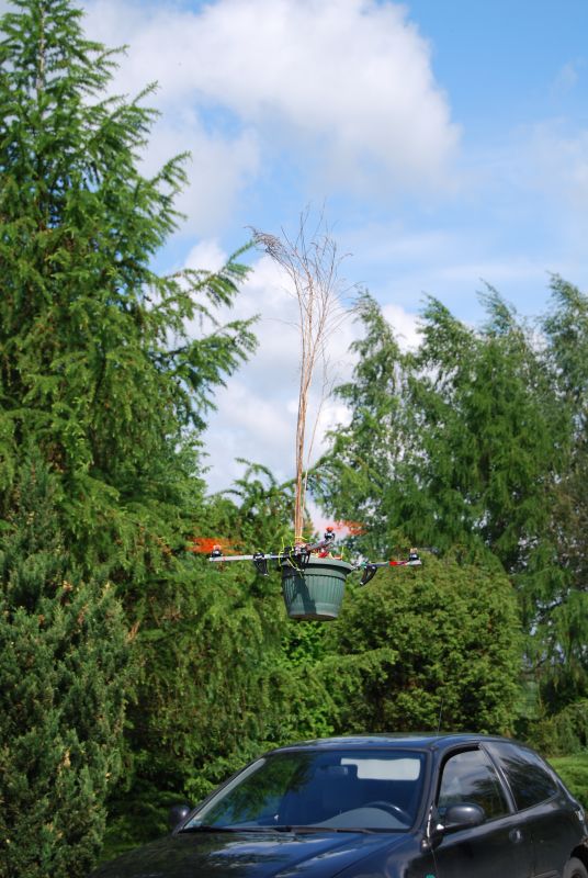 DSC_0349.JPG
