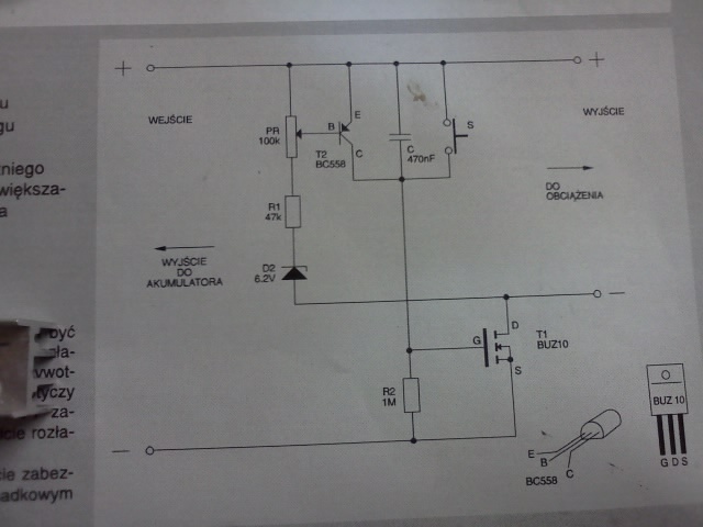 IMG20101105_002.jpg