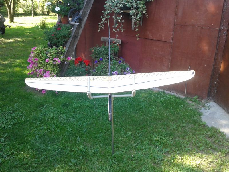 20140802_153921.jpg