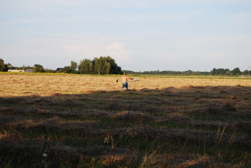 DSC_0702.JPG