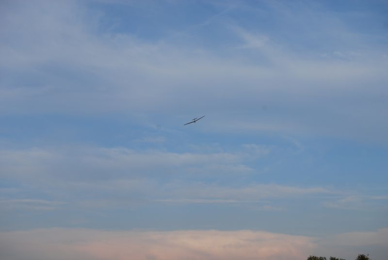 DSC_0704.JPG