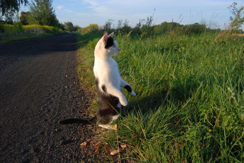 DSC_0709.JPG