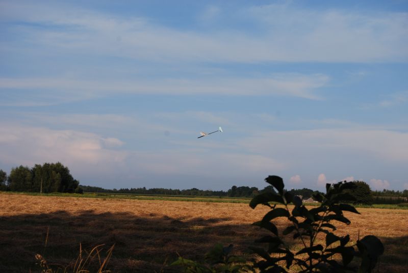 DSC_0668.JPG