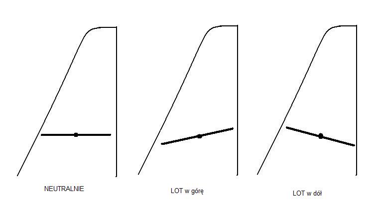 sw.jpg