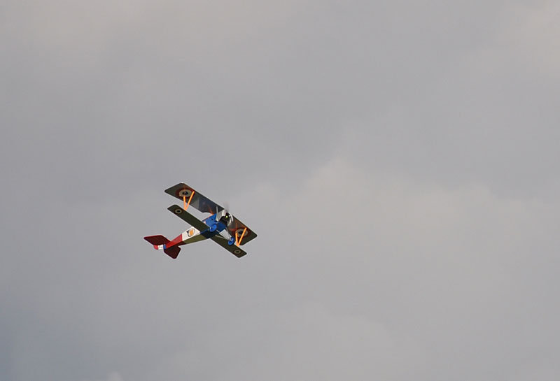 Nieuport 17 E-Fly.jpg