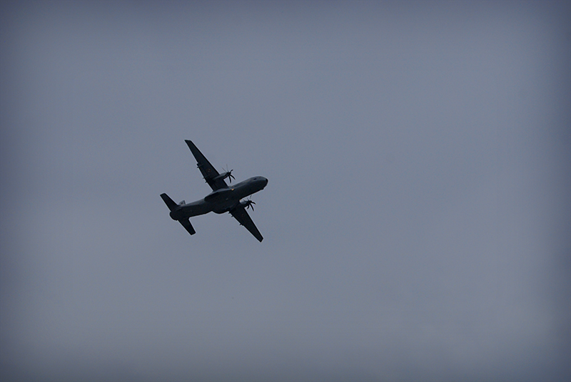 DSC_0312.jpg