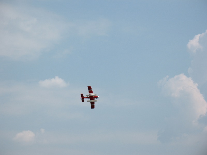 IMG_0443A.jpg