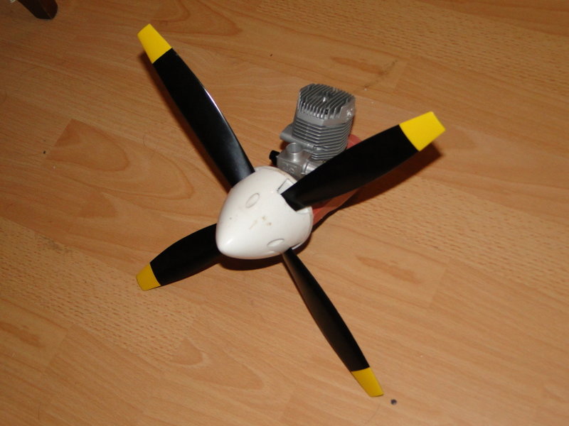 240.JPG