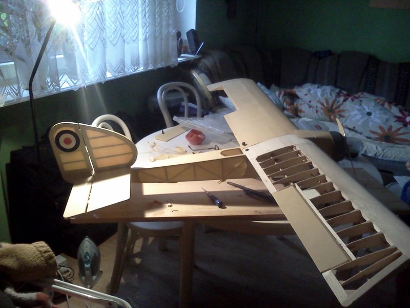 IMG20110116_002.jpg