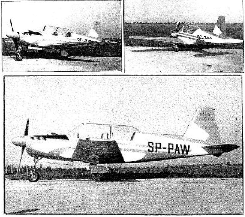 Tarpan.JPG
