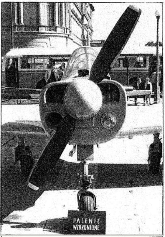 Tarpan 2.JPG