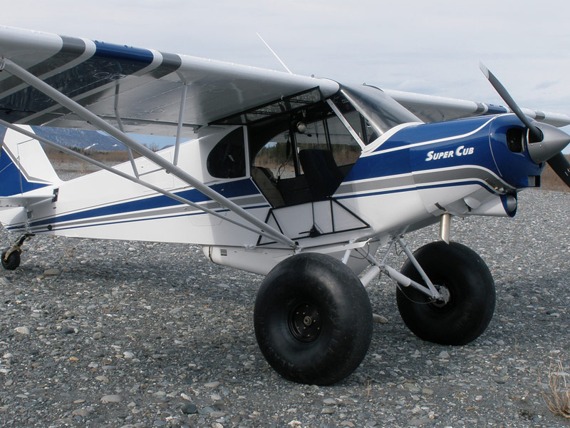 last-years-cub1.jpg