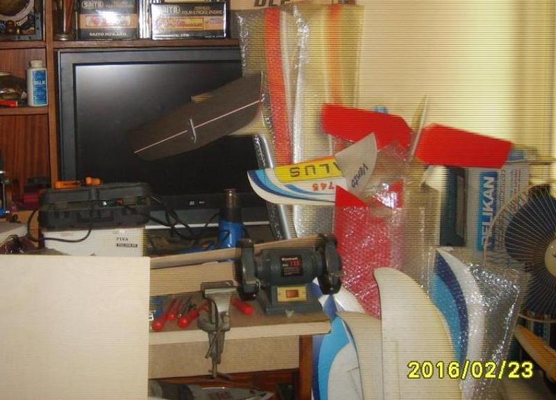 S5000052.JPG