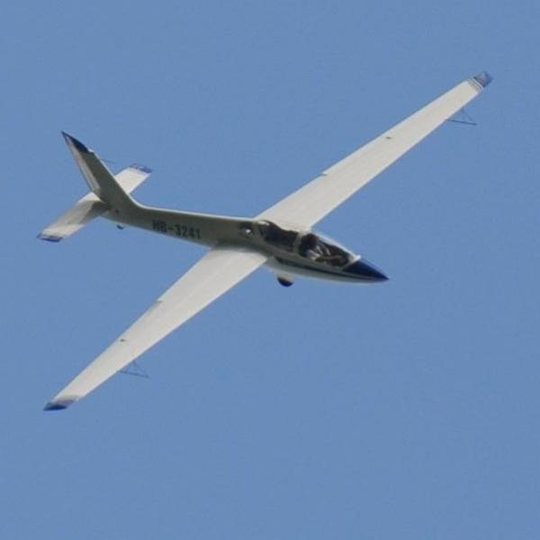 MDM 1 Fox.JPG