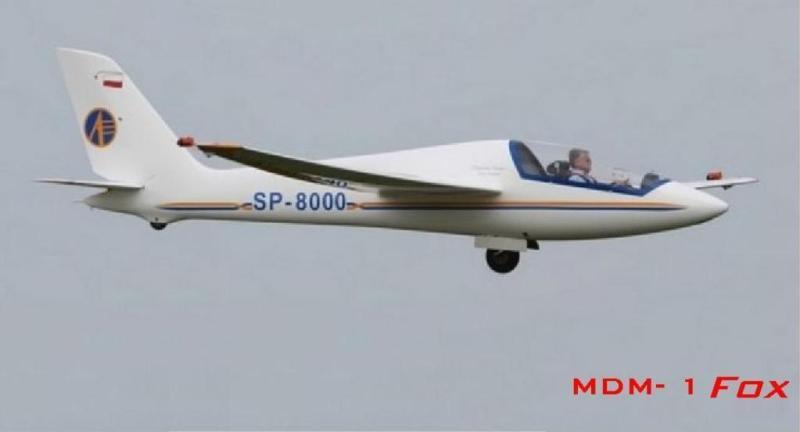 MDM-1 Fox.JPG