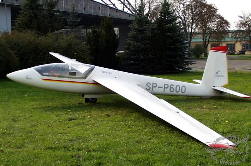 Swift..JPG