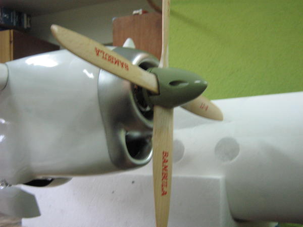IMG_2004_1.JPG