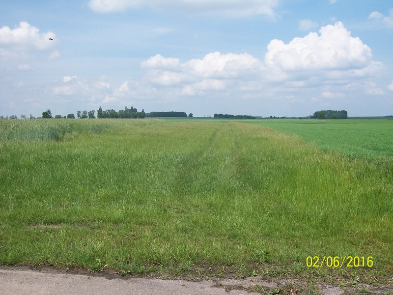 09.jpg