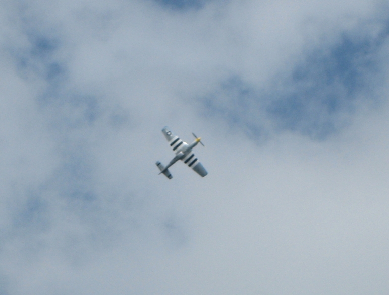 IMG_3532s.jpg