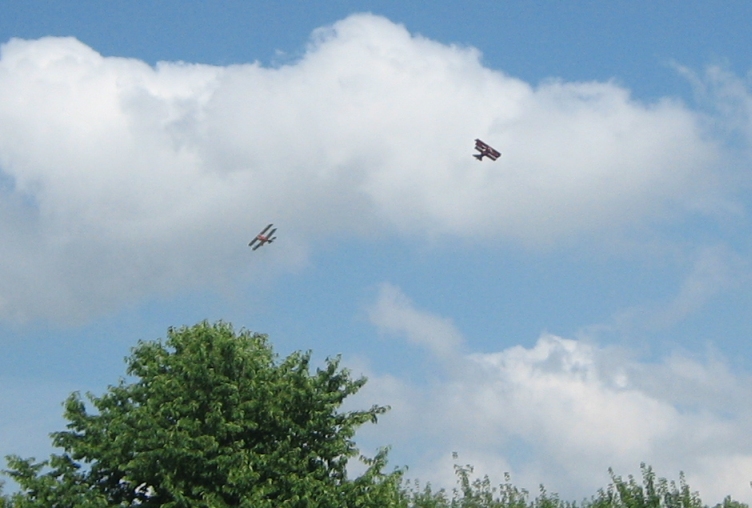IMG_3534s.jpg