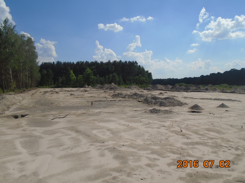 DSC00600.JPG