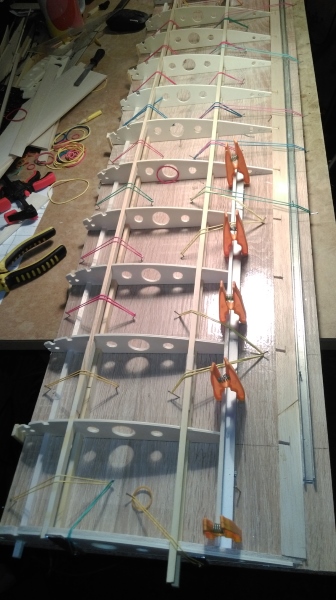 IMAG0987.jpg
