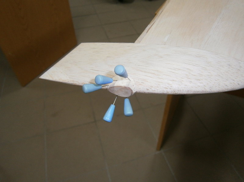 338.JPG