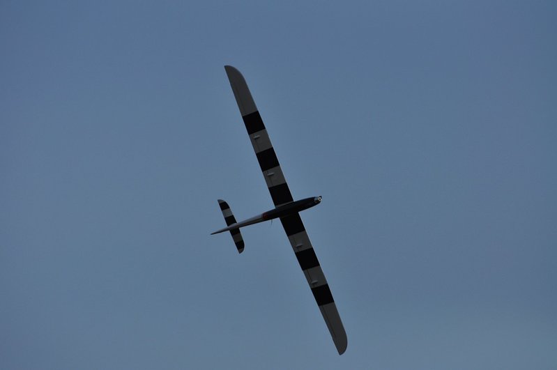 DSC_4103.JPG