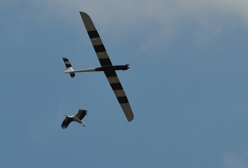 DSC_4108.JPG