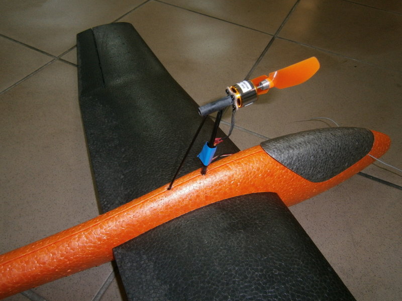 ms21.JPG