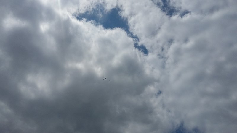 20170611_121400.jpg
