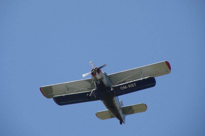 DSC5.jpg