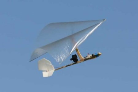 Bob_Rogallo_1.jpg