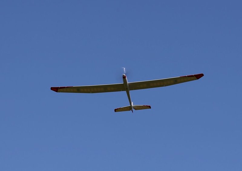 IMG_6629.jpg