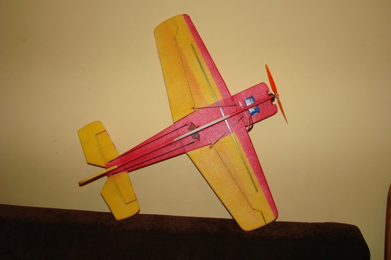 DSC00421.jpg