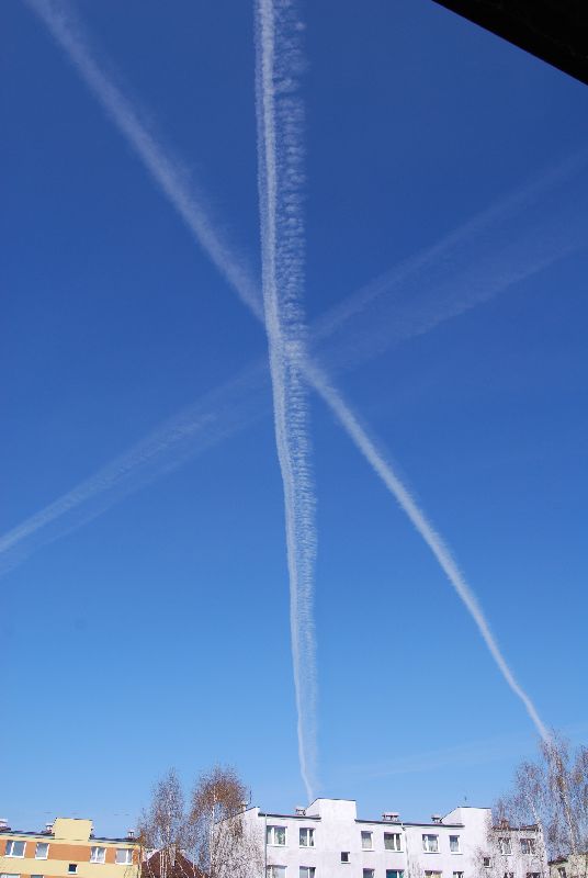 DSC_0003.JPG