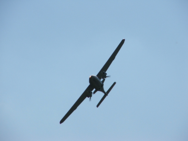 187.jpg